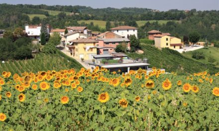 Per Elisa – Terzoni Claudio